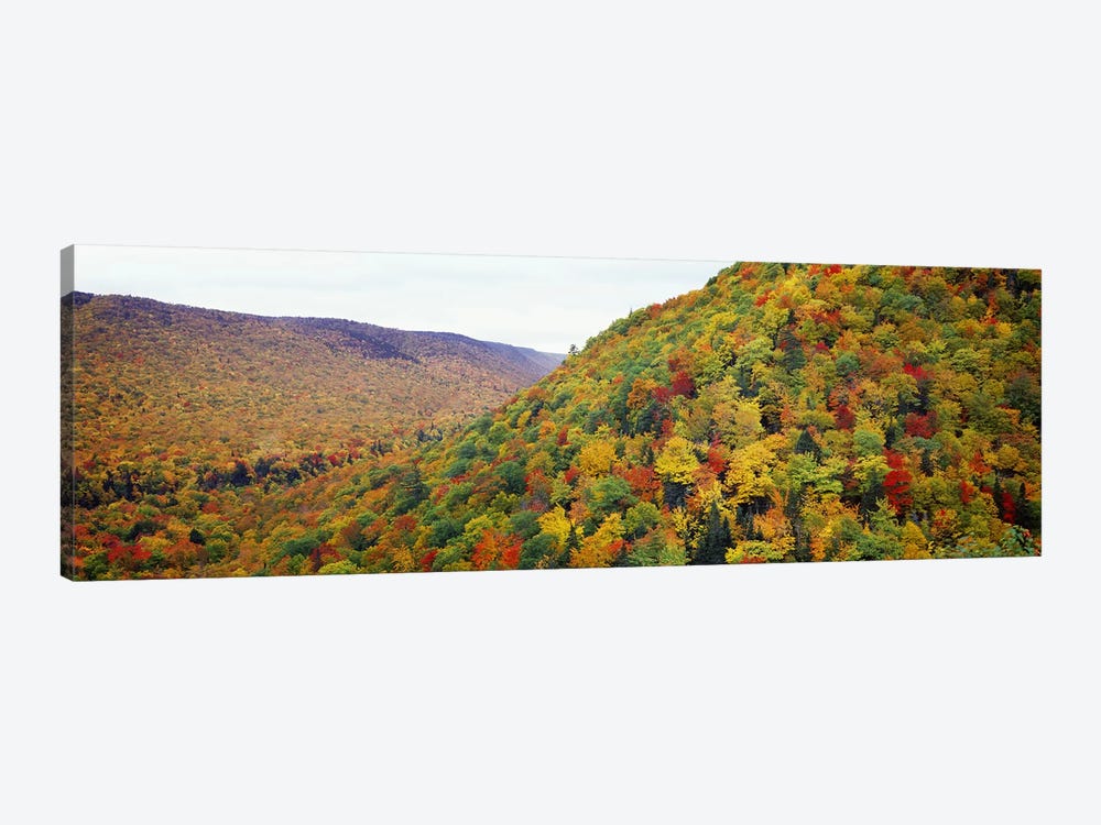 Mountain forest in autumnNova Scotia, Canada by Panoramic Images 1-piece Canvas Art Print