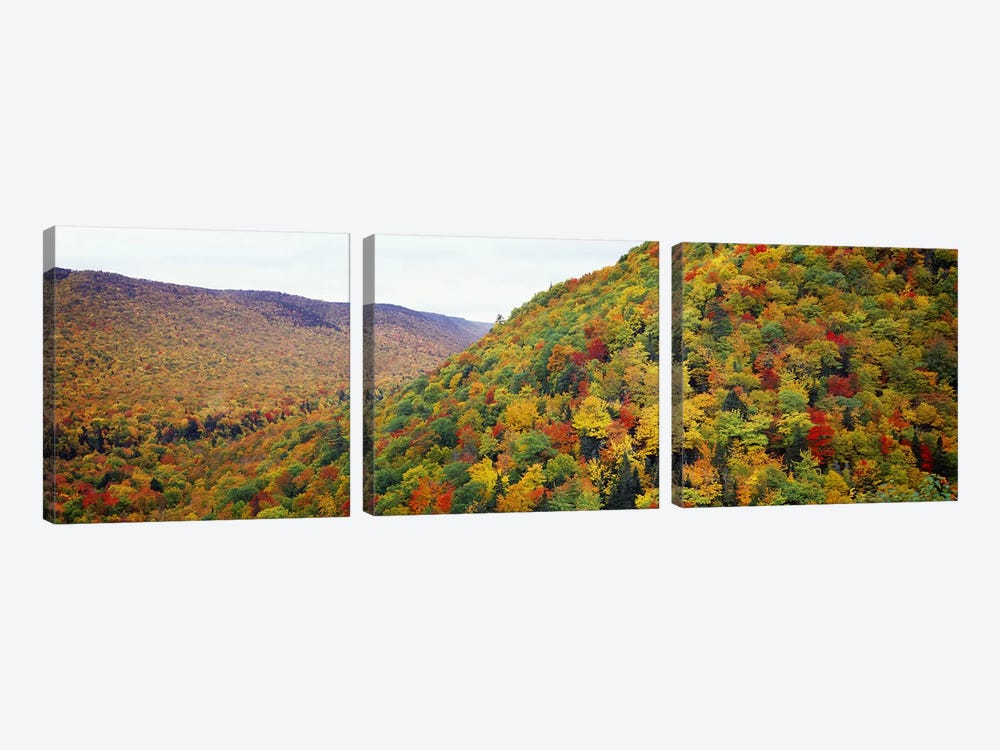 Mountain forest in autumnNova Scotia, Canada by Panoramic Images 3-piece Canvas Art Print