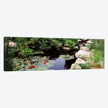 Water lilies in a pondSunken Garden, Olbrich Botanical Gardens, Madison, Wisconsin, USA Canvas Print #PIM7240} by Panoramic Images Canvas Art Print