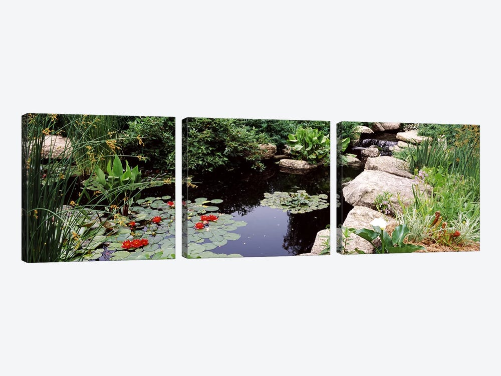 Water lilies in a pondSunken Garden, Olbrich Botanical Gardens, Madison, Wisconsin, USA by Panoramic Images 3-piece Canvas Print