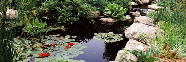 Wisconsin: Water lilies in a pondSunken Garden, Olbrich Botanical Gardens, Madison, Wisconsin, USA by Panoramic Images