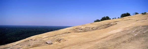 Georgia: Trees on a mountain, Stone Mountain, Atlanta, Fulton County, Georgia, USA by Panoramic Images