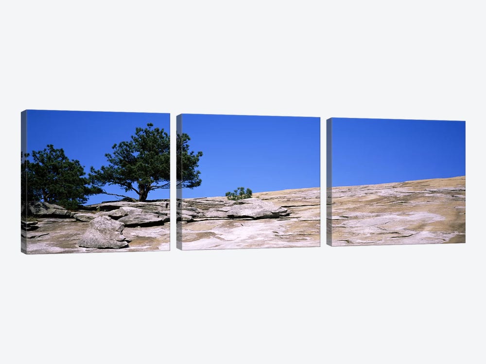 Trees on a mountain, Stone Mountain, Atlanta, Fulton County, Georgia, USA #2 by Panoramic Images 3-piece Canvas Wall Art