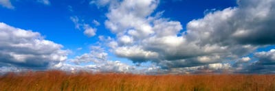 Cloudy Tallgrass-laden Landscape, Hayden Prairie State Preserve, Howard County, Iowa, USA by Panoramic Images canvas print
