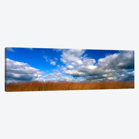 Cloudy Tallgrass-laden Landscape, Hayden Prairie State Preserve, Howard County, Iowa, USA Canvas Print #PIM731} by Panoramic Images Canvas Artwork