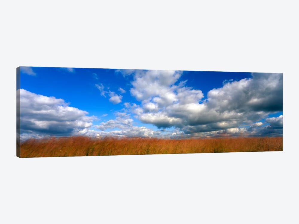 Cloudy Tallgrass-laden Landscape, Hayden Prairie State Preserve, Howard County, Iowa, USA by Panoramic Images 1-piece Canvas Art Print