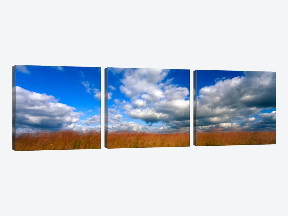 Cloudy Tallgrass-laden Landscape, Hayden Prairie State Preserve, Howard County, Iowa, USA by Panoramic Images 3-piece Canvas Art Print