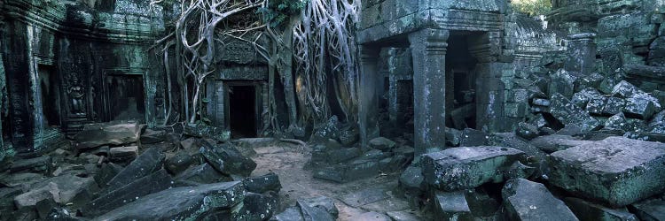 Overgrown tree roots on ruins of a temple, Ta Prohm Temple, Angkor, Cambodia