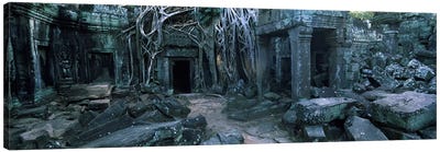 Overgrown tree roots on ruins of a temple, Ta Prohm Temple, Angkor, Cambodia Canvas Art Print - Cambodia