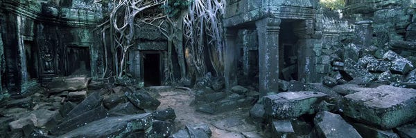 Ancient Ruins: Overgrown tree roots on ruins of a temple, Ta Prohm Temple, Angkor, Cambodia by Panoramic Images