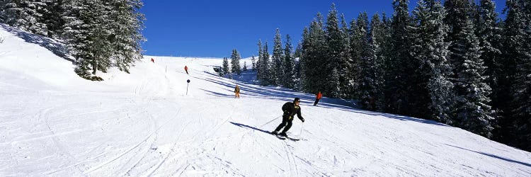 Tourists skiing, Kitzbuhel, Westendorf, Tirol, Austria