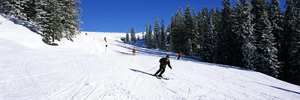 Evergreen Trees: Tourists skiing, Kitzbuhel, Westendorf, Tirol, Austria by Panoramic Images