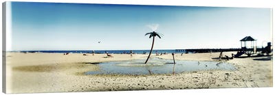 Palm tree sprinkler on the beachConey Island, Brooklyn, New York City, New York State, USA Canvas Art Print - Sandy Beach Art