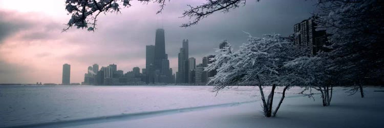 Snow covered tree on the beach with a city in the backgroundNorth Avenue Beach, Chicago, Illinois, USA