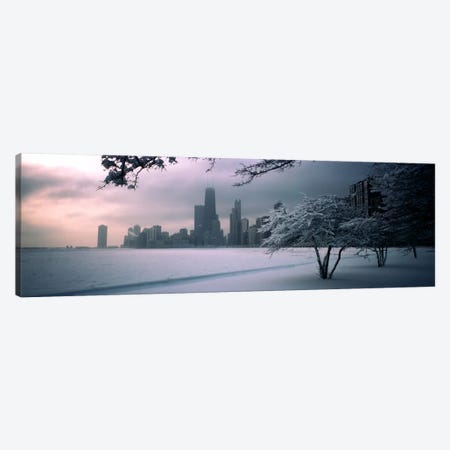 Snow covered tree on the beach with a city in the backgroundNorth Avenue Beach, Chicago, Illinois, USA Canvas Print #PIM740} by Panoramic Images Canvas Art Print