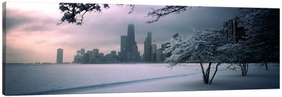 Snow covered tree on the beach with a city in the backgroundNorth Avenue Beach, Chicago, Illinois, USA Canvas Art Print - Chicago Art