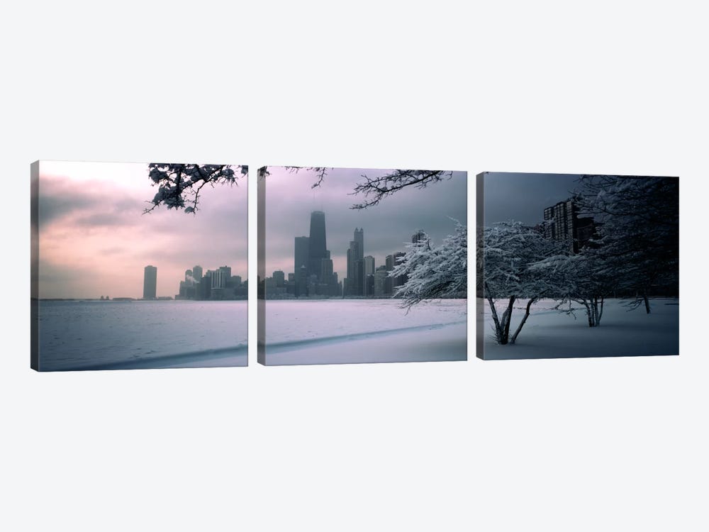 Snow covered tree on the beach with a city in the backgroundNorth Avenue Beach, Chicago, Illinois, USA by Panoramic Images 3-piece Canvas Art Print