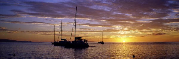 Society Islands: Moored Sailboats At Sunset, Tahiti, Windward Islands, Society Islands, French Polynesia by Panoramic Images