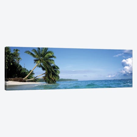 Leaning Palm Trees In A Tropical Landscape Canvas Print #PIM7431} by Panoramic Images Canvas Wall Art