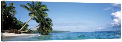 Leaning Palm Trees In A Tropical Landscape Canvas Art Print - Tropical Beach Art