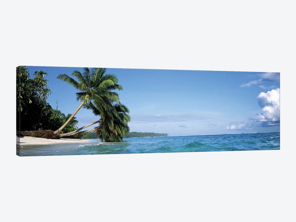 Leaning Palm Trees In A Tropical Landscape by Panoramic Images 1-piece Canvas Print