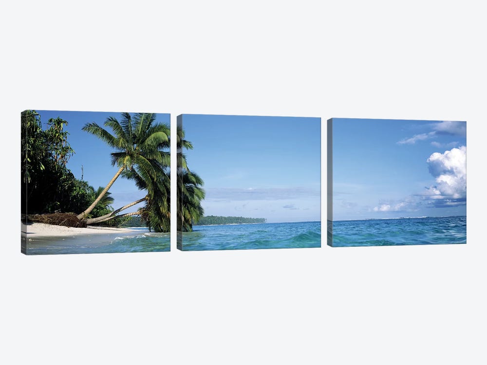 Leaning Palm Trees In A Tropical Landscape by Panoramic Images 3-piece Canvas Print