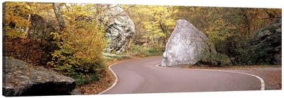 Road curving around a big boulder, Stowe, Lamoille County, Vermont, USA Canvas Art Print - Vermont