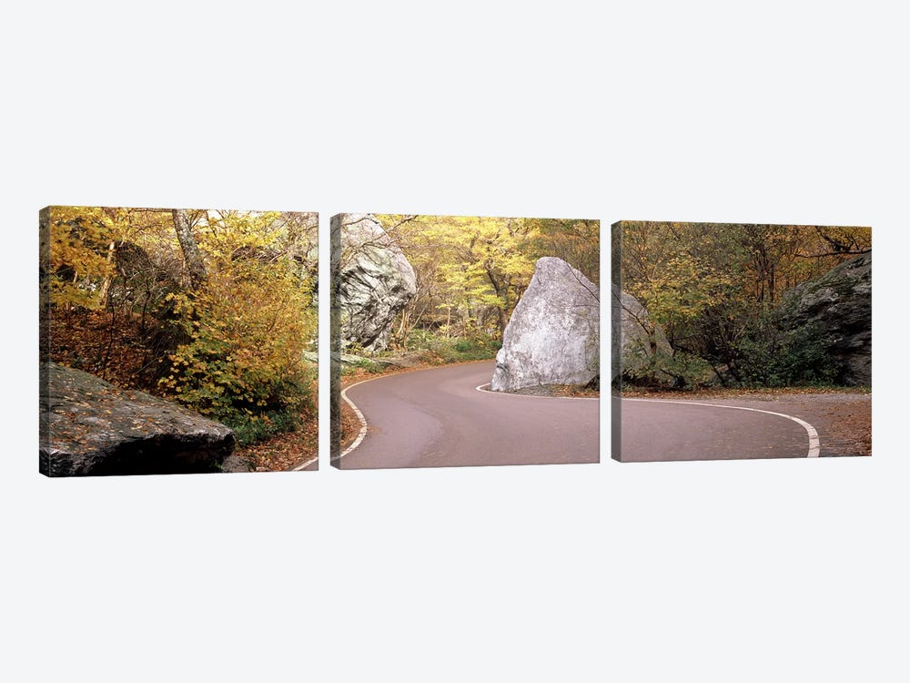 Road curving around a big boulder, Stowe, Lamoille County, Vermont, USA by Panoramic Images 3-piece Canvas Art Print