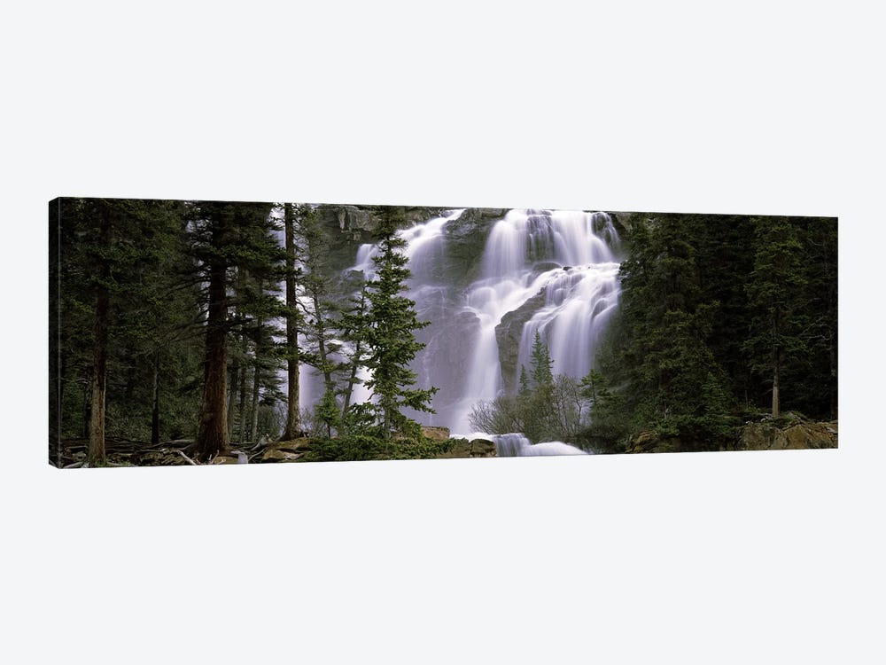 Waterfall in a forest, Banff, Alberta, Canada by Panoramic Images 1-piece Art Print