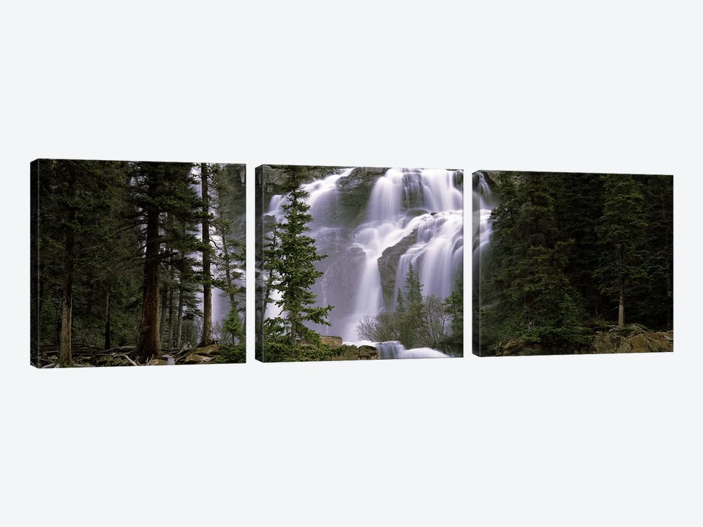 Waterfall in a forest, Banff, Alberta, Canada by Panoramic Images 3-piece Canvas Art Print
