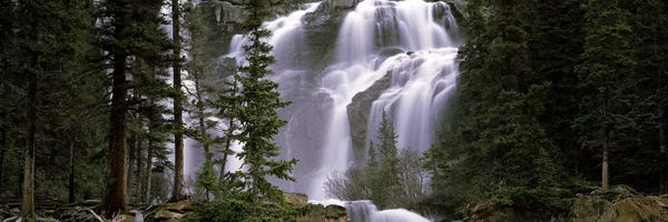 Banff National Park: Waterfall in a forest, Banff, Alberta, Canada by Panoramic Images