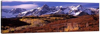 Mountains covered with snow and fall colors, near Telluride, Colorado, USA Canvas Art Print - Tree Art