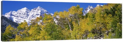 Forest with snowcapped mountains in the background, Maroon Bells, Aspen, Pitkin County, Colorado, USA Canvas Art Print - Colorado Art
