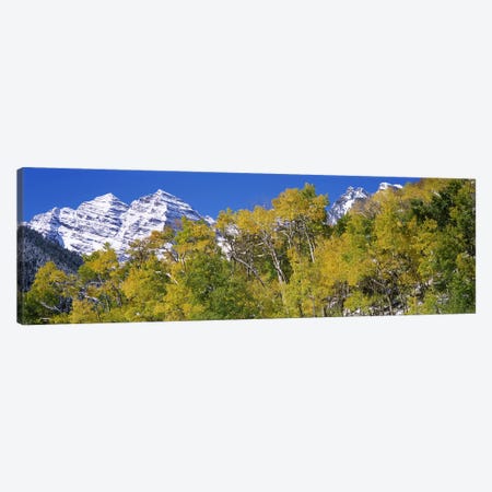 Forest with snowcapped mountains in the background, Maroon Bells, Aspen, Pitkin County, Colorado, USA Canvas Print #PIM7469} by Panoramic Images Canvas Art Print