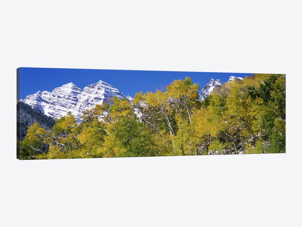 Forest with snowcapped mountains in the background, Maroon Bells, Aspen, Pitkin County, Colorado, USA by Panoramic Images 1-piece Canvas Artwork