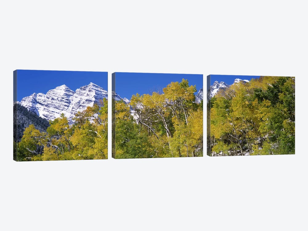 Forest with snowcapped mountains in the background, Maroon Bells, Aspen, Pitkin County, Colorado, USA by Panoramic Images 3-piece Canvas Wall Art