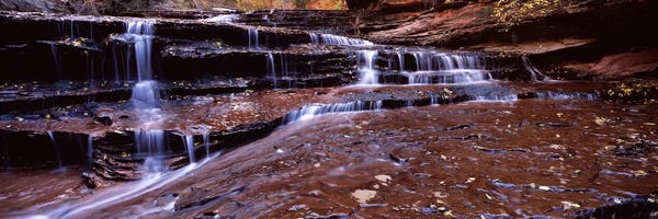 Utah: Stream flowing through rocks, North Creek, Zion National Park, Utah, USA by Panoramic Images