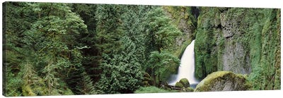 Waterfall in a forest, Columbia River Gorge, Oregon, USA Canvas Art Print - Panoramic Photography