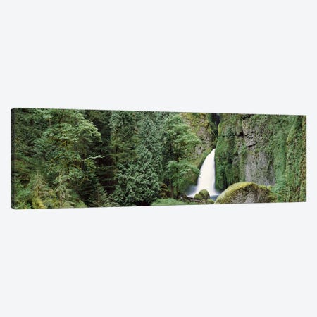 Waterfall in a forest, Columbia River Gorge, Oregon, USA Canvas Print #PIM7504} by Panoramic Images Canvas Print