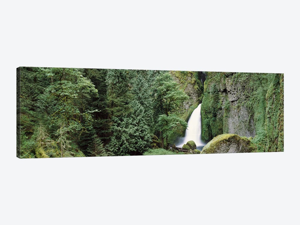 Waterfall in a forest, Columbia River Gorge, Oregon, USA by Panoramic Images 1-piece Canvas Artwork