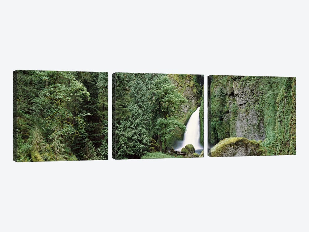 Waterfall in a forest, Columbia River Gorge, Oregon, USA by Panoramic Images 3-piece Canvas Art