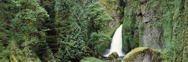 Waterfall in a forest I, Columbia River Gorge, Oregon, USA