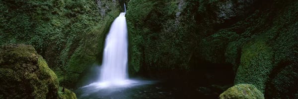 Oregon: Waterfall in a forest II, Columbia River Gorge, Oregon, USA by Panoramic Images