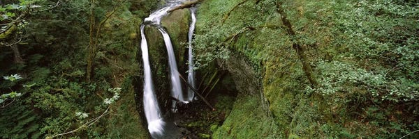 Forests: High angle view of a waterfall in a forest, Triple Falls, Columbia River Gorge, Oregon, USA by Panoramic Images