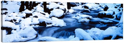 Winter Yosemite National Park CA Canvas Art Print - Panoramic Photography