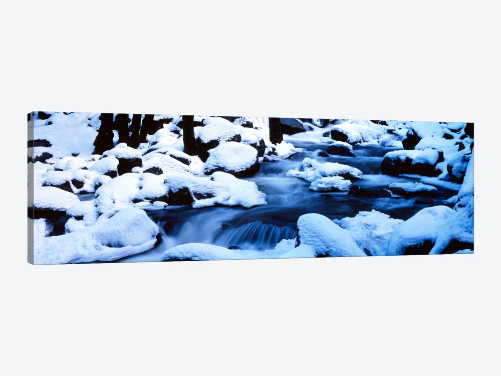 Winter Yosemite National Park CA by Panoramic Images 1-piece Art Print