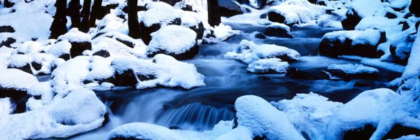 Yosemite National Park: Winter Yosemite National Park CA by Panoramic Images