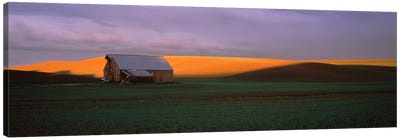 Barn in a field at sunset, Palouse, Whitman County, Washington State, USA Canvas Art Print - Barns