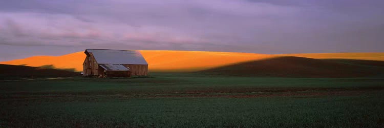 Barn in a field at sunset, Palouse, Whitman County, Washington State, USA