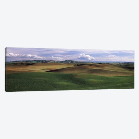 Clouds over a rolling landscape, Palouse, Whitman County, Washington State, USA Canvas Print #PIM7527} by Panoramic Images Art Print